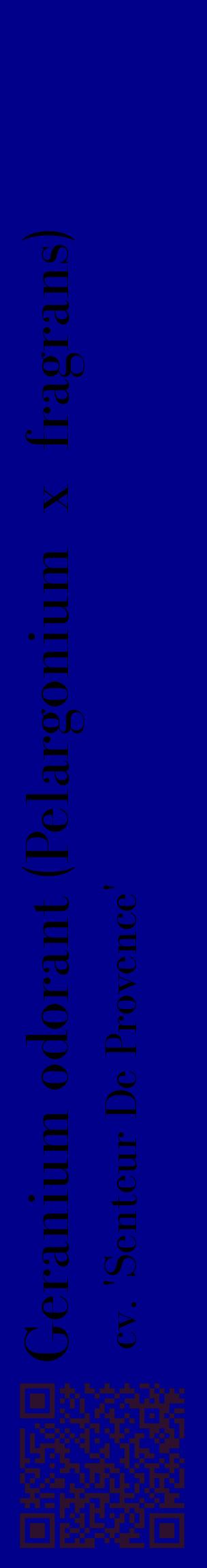 Étiquette de : Pelargonium x fragrans cv. 'Senteur De Provence' - format c - style noire7_basiquebod avec qrcode et comestibilité