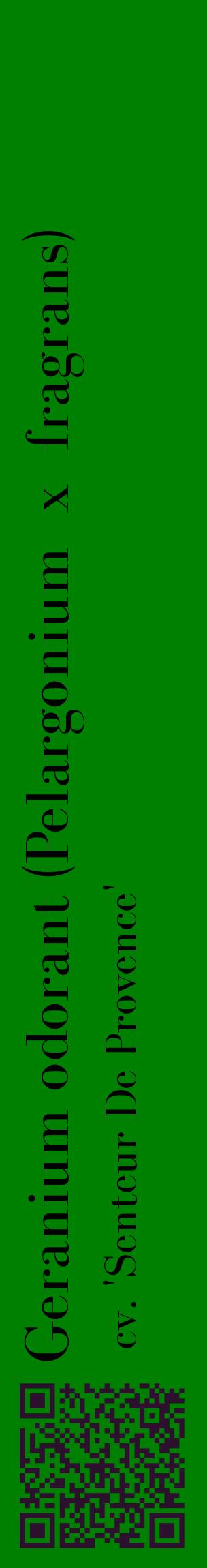 Étiquette de : Pelargonium x fragrans cv. 'Senteur De Provence' - format c - style noire9_basiquebod avec qrcode et comestibilité