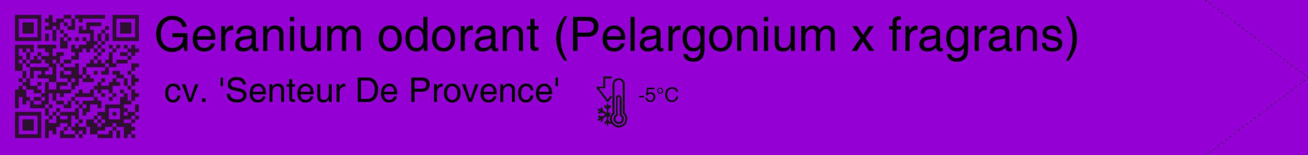 Étiquette de : Pelargonium x fragrans cv. 'Senteur De Provence' - format c - style noire48_simple_simplehel avec qrcode et comestibilité