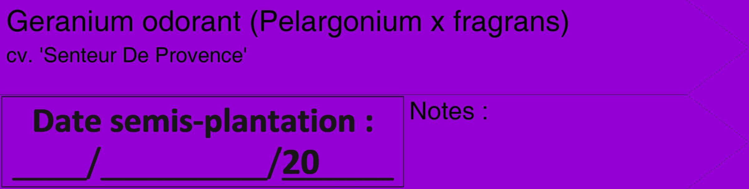 Étiquette de : Pelargonium x fragrans cv. 'Senteur De Provence' - format c - style noire48_simple_simplehel avec comestibilité