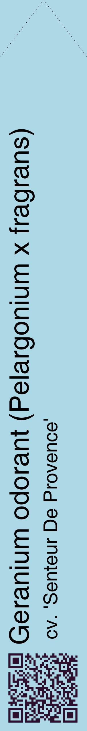 Étiquette de : Pelargonium x fragrans cv. 'Senteur De Provence' - format c - style noire0_simplehel avec qrcode et comestibilité