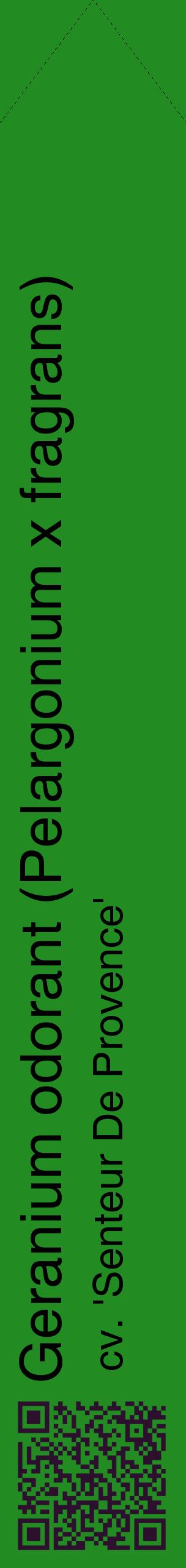 Étiquette de : Pelargonium x fragrans cv. 'Senteur De Provence' - format c - style noire10_simplehel avec qrcode et comestibilité