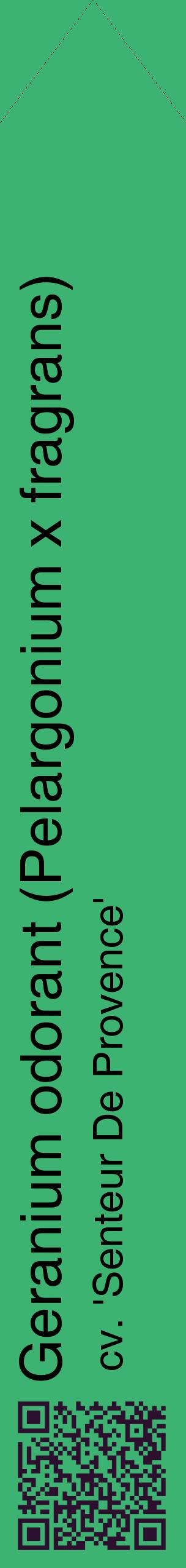 Étiquette de : Pelargonium x fragrans cv. 'Senteur De Provence' - format c - style noire12_simplehel avec qrcode et comestibilité