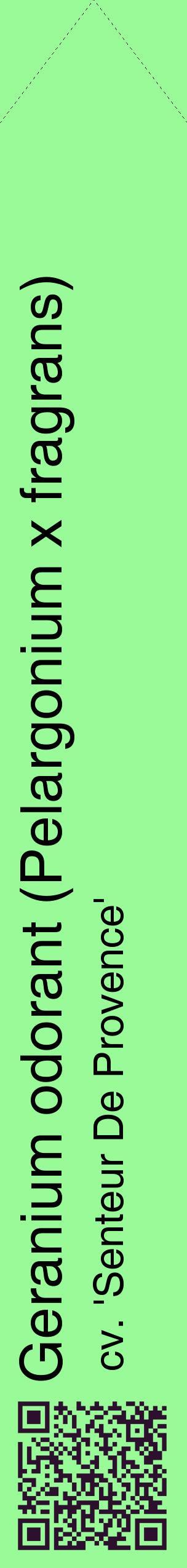 Étiquette de : Pelargonium x fragrans cv. 'Senteur De Provence' - format c - style noire14_simplehel avec qrcode et comestibilité