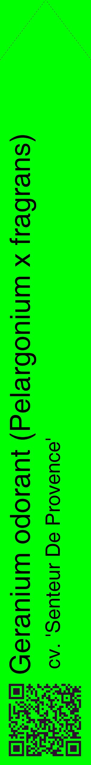 Étiquette de : Pelargonium x fragrans cv. 'Senteur De Provence' - format c - style noire16_simplehel avec qrcode et comestibilité