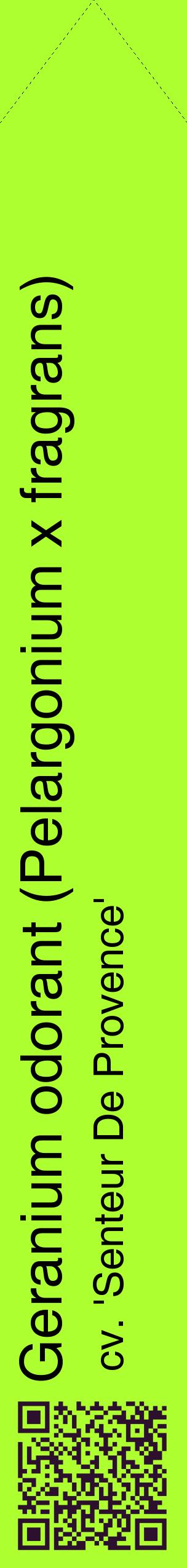 Étiquette de : Pelargonium x fragrans cv. 'Senteur De Provence' - format c - style noire17_simplehel avec qrcode et comestibilité
