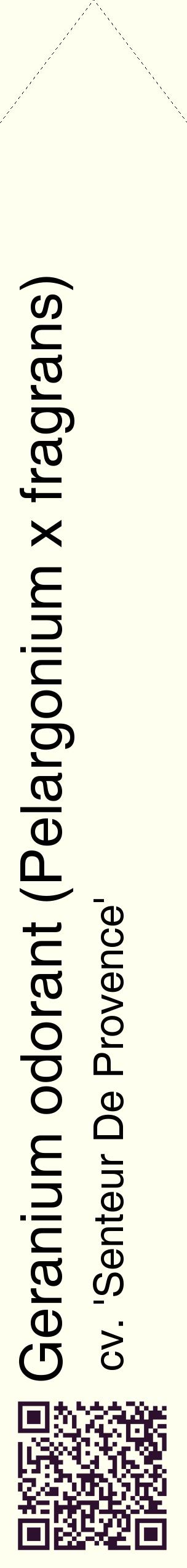 Étiquette de : Pelargonium x fragrans cv. 'Senteur De Provence' - format c - style noire19_simplehel avec qrcode et comestibilité