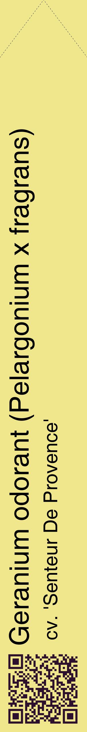 Étiquette de : Pelargonium x fragrans cv. 'Senteur De Provence' - format c - style noire20_simplehel avec qrcode et comestibilité