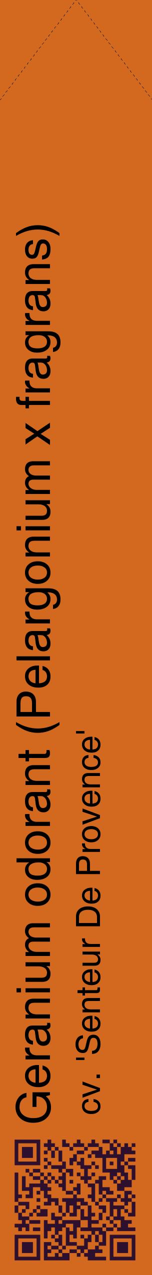 Étiquette de : Pelargonium x fragrans cv. 'Senteur De Provence' - format c - style noire31_simplehel avec qrcode et comestibilité