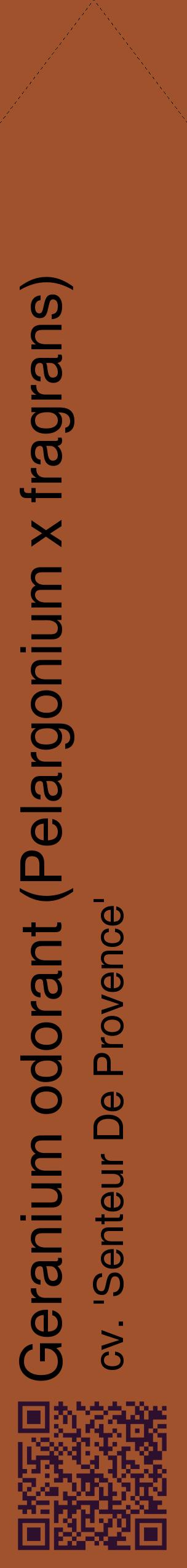 Étiquette de : Pelargonium x fragrans cv. 'Senteur De Provence' - format c - style noire32_simplehel avec qrcode et comestibilité