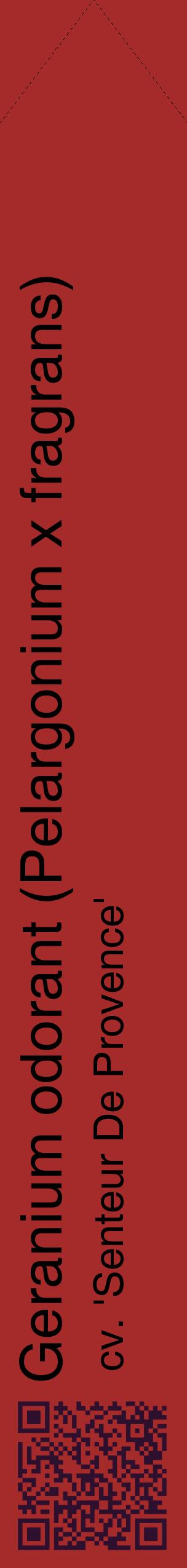 Étiquette de : Pelargonium x fragrans cv. 'Senteur De Provence' - format c - style noire33_simplehel avec qrcode et comestibilité