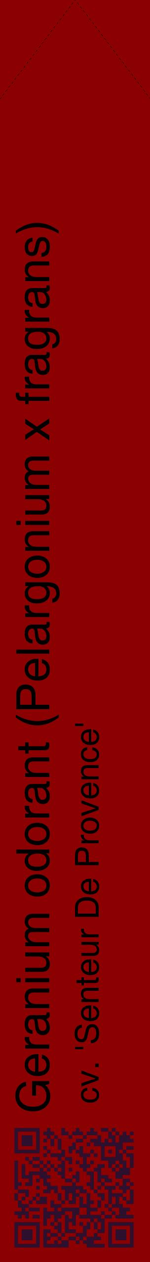 Étiquette de : Pelargonium x fragrans cv. 'Senteur De Provence' - format c - style noire34_simplehel avec qrcode et comestibilité