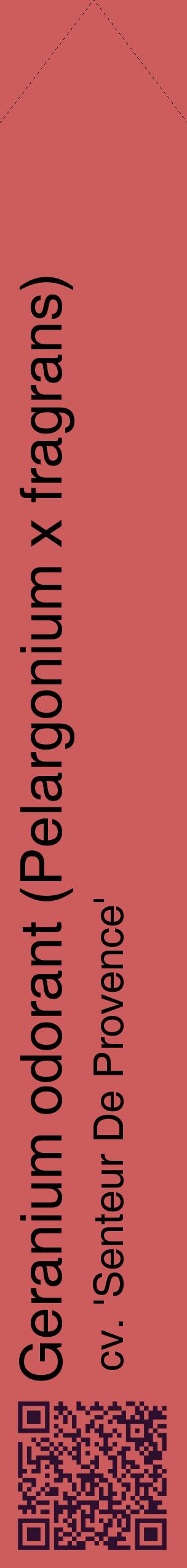 Étiquette de : Pelargonium x fragrans cv. 'Senteur De Provence' - format c - style noire35_simplehel avec qrcode et comestibilité