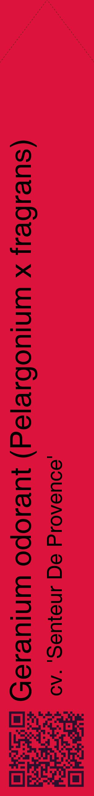 Étiquette de : Pelargonium x fragrans cv. 'Senteur De Provence' - format c - style noire36_simplehel avec qrcode et comestibilité