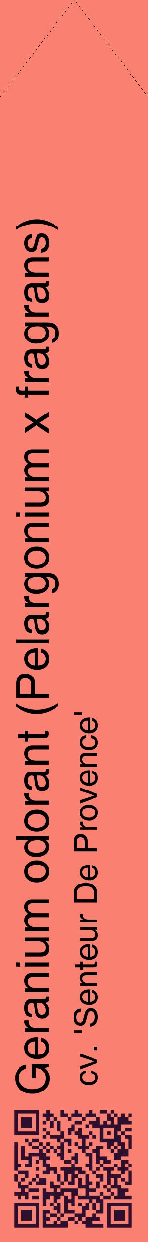 Étiquette de : Pelargonium x fragrans cv. 'Senteur De Provence' - format c - style noire38_simplehel avec qrcode et comestibilité