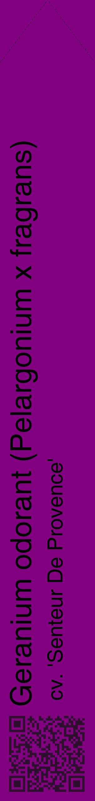 Étiquette de : Pelargonium x fragrans cv. 'Senteur De Provence' - format c - style noire46_simplehel avec qrcode et comestibilité