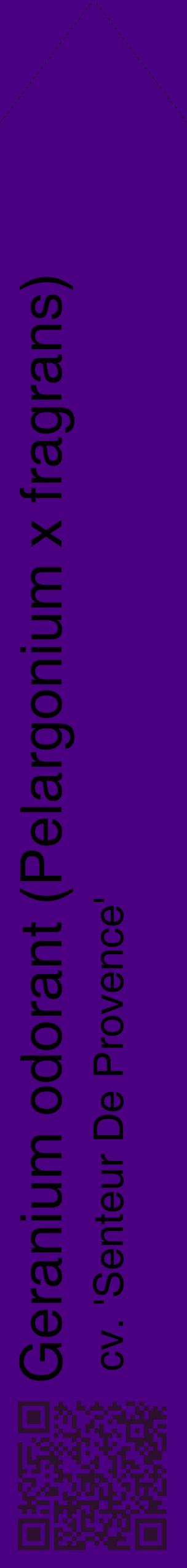 Étiquette de : Pelargonium x fragrans cv. 'Senteur De Provence' - format c - style noire47_simplehel avec qrcode et comestibilité