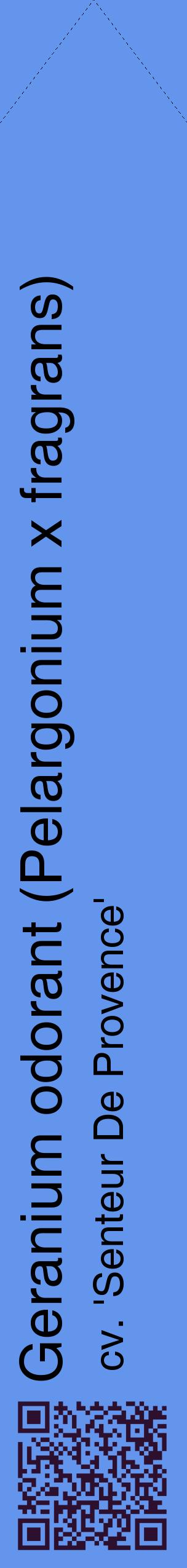 Étiquette de : Pelargonium x fragrans cv. 'Senteur De Provence' - format c - style noire4_simplehel avec qrcode et comestibilité