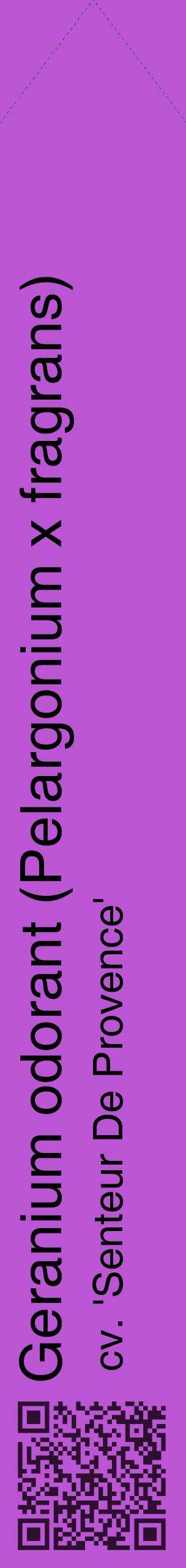 Étiquette de : Pelargonium x fragrans cv. 'Senteur De Provence' - format c - style noire50_simplehel avec qrcode et comestibilité