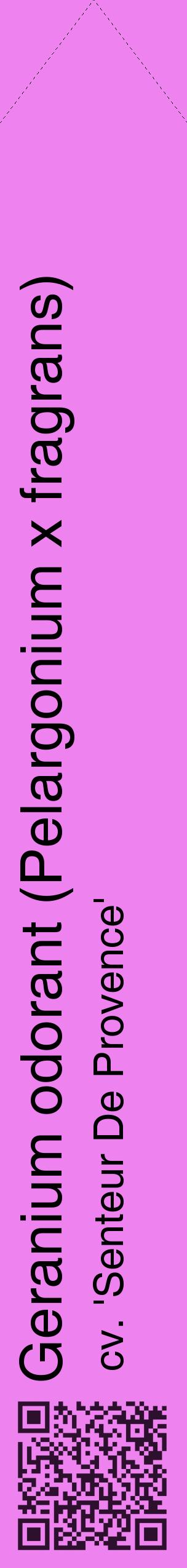 Étiquette de : Pelargonium x fragrans cv. 'Senteur De Provence' - format c - style noire53_simplehel avec qrcode et comestibilité