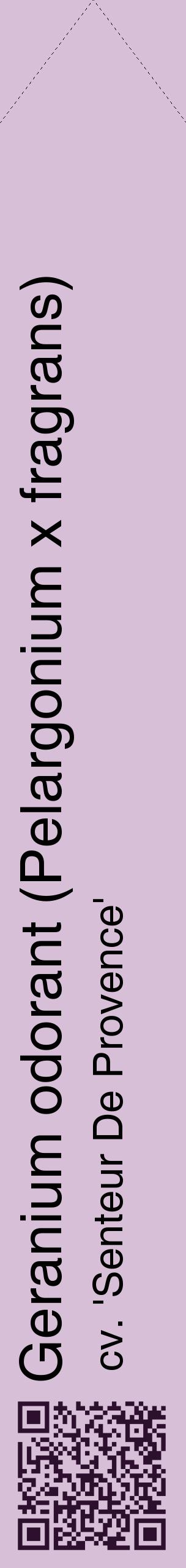 Étiquette de : Pelargonium x fragrans cv. 'Senteur De Provence' - format c - style noire54_simplehel avec qrcode et comestibilité