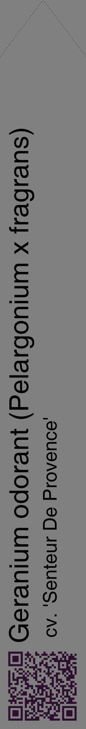 Étiquette de : Pelargonium x fragrans cv. 'Senteur De Provence' - format c - style noire57_simplehel avec qrcode et comestibilité