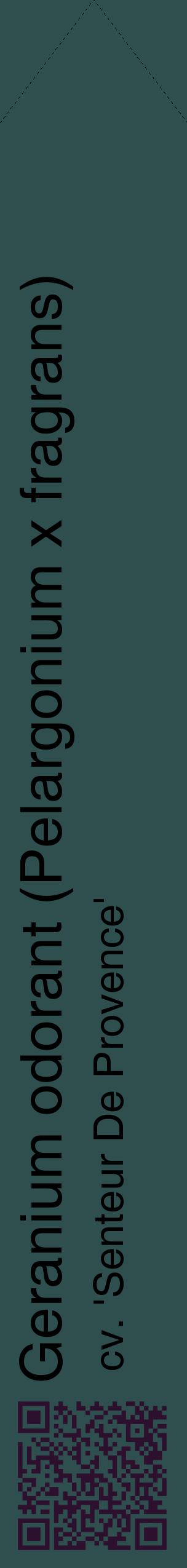 Étiquette de : Pelargonium x fragrans cv. 'Senteur De Provence' - format c - style noire58_simplehel avec qrcode et comestibilité
