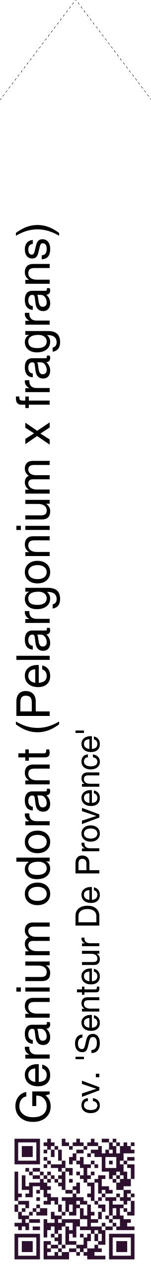 Étiquette de : Pelargonium x fragrans cv. 'Senteur De Provence' - format c - style noire60_simplehel avec qrcode et comestibilité