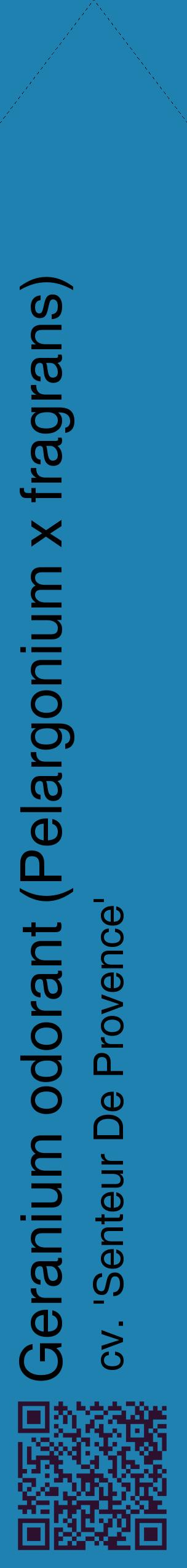 Étiquette de : Pelargonium x fragrans cv. 'Senteur De Provence' - format c - style noire6_simplehel avec qrcode et comestibilité