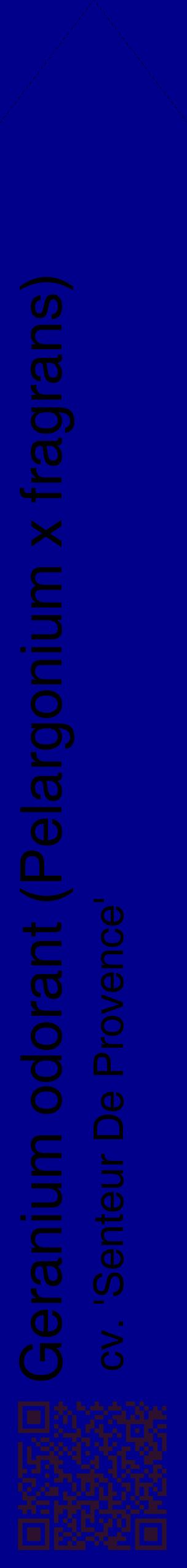 Étiquette de : Pelargonium x fragrans cv. 'Senteur De Provence' - format c - style noire7_simplehel avec qrcode et comestibilité