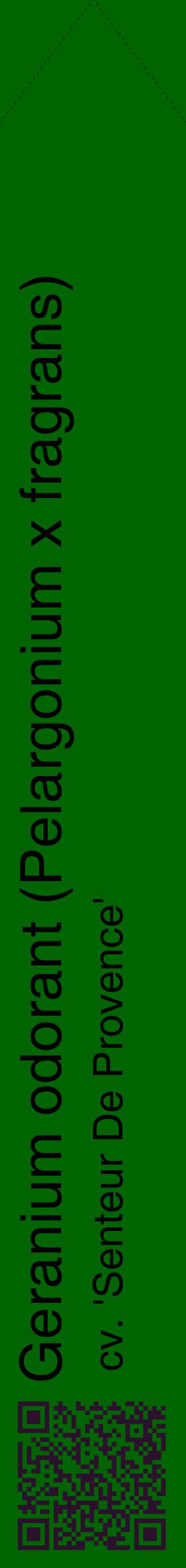 Étiquette de : Pelargonium x fragrans cv. 'Senteur De Provence' - format c - style noire8_simplehel avec qrcode et comestibilité