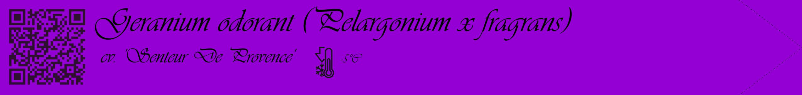 Étiquette de : Pelargonium x fragrans cv. 'Senteur De Provence' - format c - style noire48_simple_simpleviv avec qrcode et comestibilité
