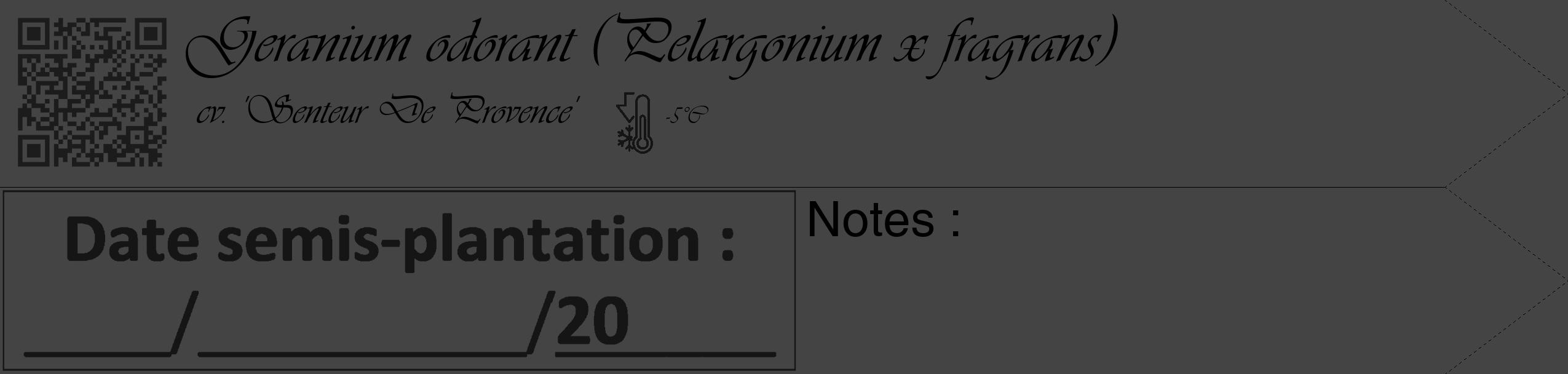 Étiquette de : Pelargonium x fragrans cv. 'Senteur De Provence' - format c - style noire48_simple_simpleviv avec qrcode et comestibilité