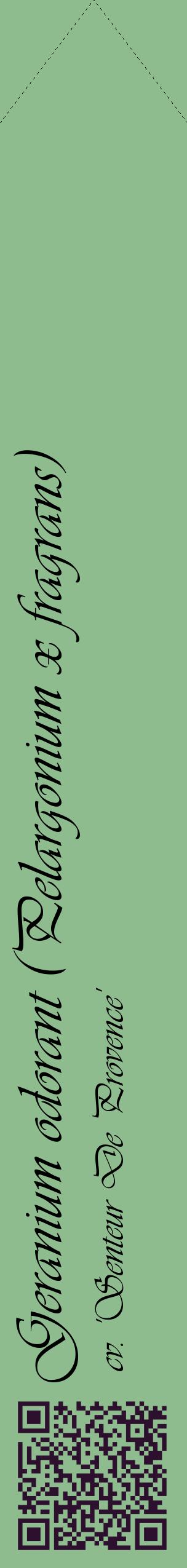 Étiquette de : Pelargonium x fragrans cv. 'Senteur De Provence' - format c - style noire13_simpleviv avec qrcode et comestibilité