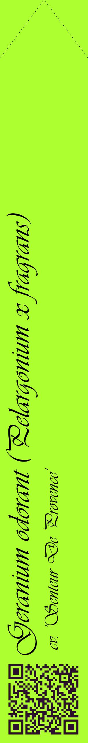 Étiquette de : Pelargonium x fragrans cv. 'Senteur De Provence' - format c - style noire17_simpleviv avec qrcode et comestibilité