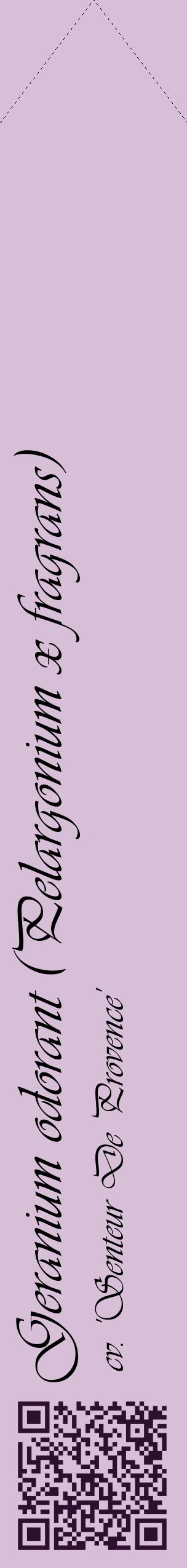 Étiquette de : Pelargonium x fragrans cv. 'Senteur De Provence' - format c - style noire54_simpleviv avec qrcode et comestibilité