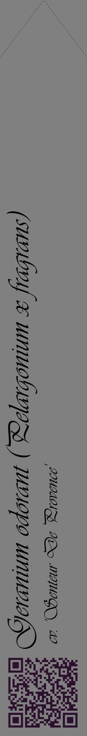 Étiquette de : Pelargonium x fragrans cv. 'Senteur De Provence' - format c - style noire57_simpleviv avec qrcode et comestibilité