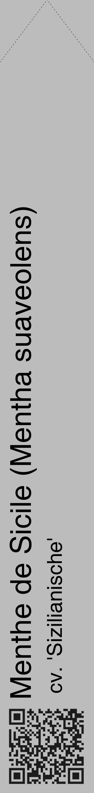 Étiquette de : Mentha suaveolens cv. 'Sizilianische' - format c - style noire1_simple_simplehel avec qrcode et comestibilité - position verticale