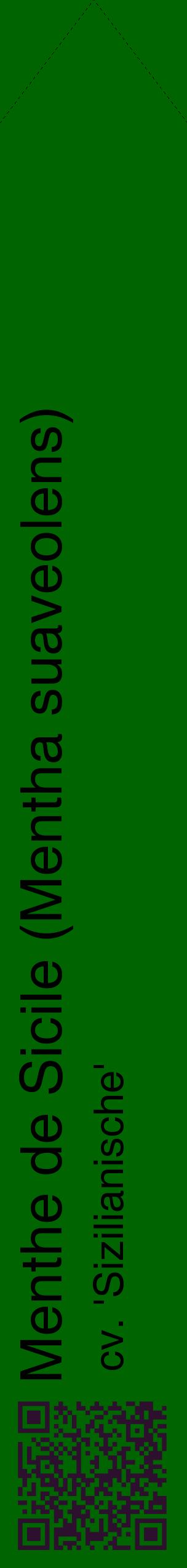 Étiquette de : Mentha suaveolens cv. 'Sizilianische' - format c - style noire8_simplehel avec qrcode et comestibilité