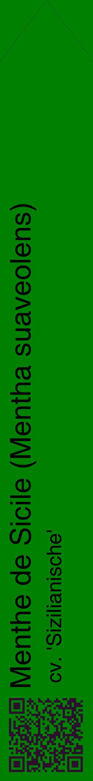 Étiquette de : Mentha suaveolens cv. 'Sizilianische' - format c - style noire9_simplehel avec qrcode et comestibilité