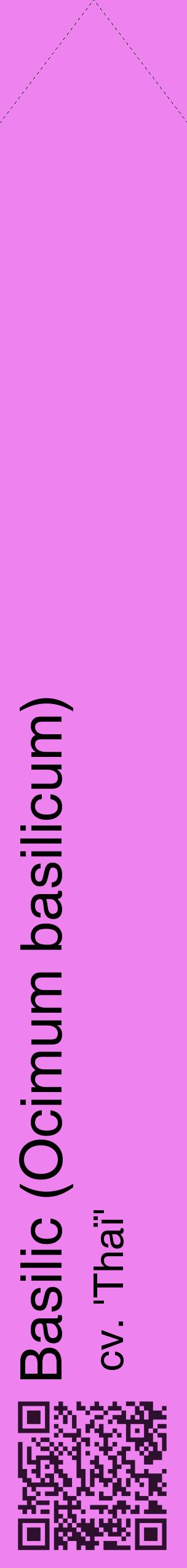 Étiquette de : Ocimum basilicum cv. 'Thaï' - format c - style noire53_simplehel avec qrcode et comestibilité