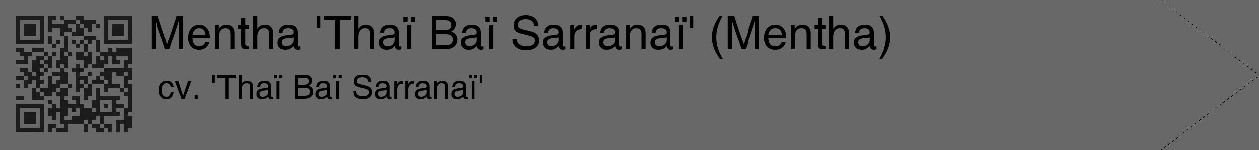 Étiquette de : Mentha cv. 'Thaï Baï Sarranaï' - format c - style noire6_simple_simplehel avec qrcode et comestibilité