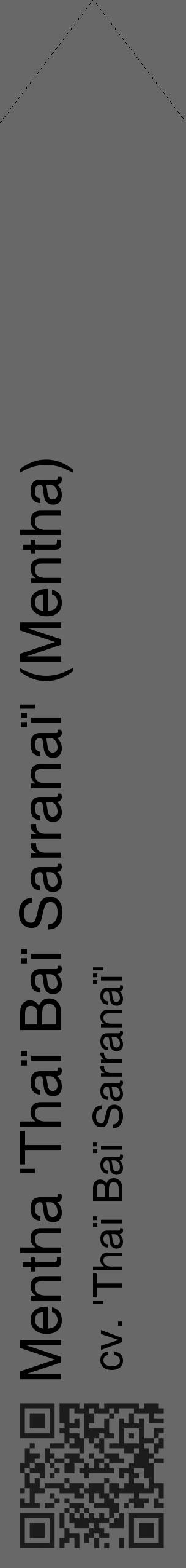 Étiquette de : Mentha cv. 'Thaï Baï Sarranaï' - format c - style noire6_simple_simplehel avec qrcode et comestibilité - position verticale