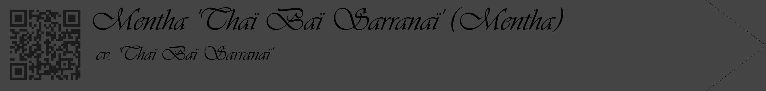 Étiquette de : Mentha cv. 'Thaï Baï Sarranaï' - format c - style noire48_simple_simpleviv avec qrcode et comestibilité