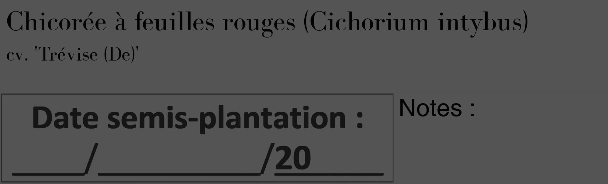 Étiquette de : Cichorium intybus cv. 'Trévise (De)' - format c - style noire36_basique_basiquebod avec comestibilité