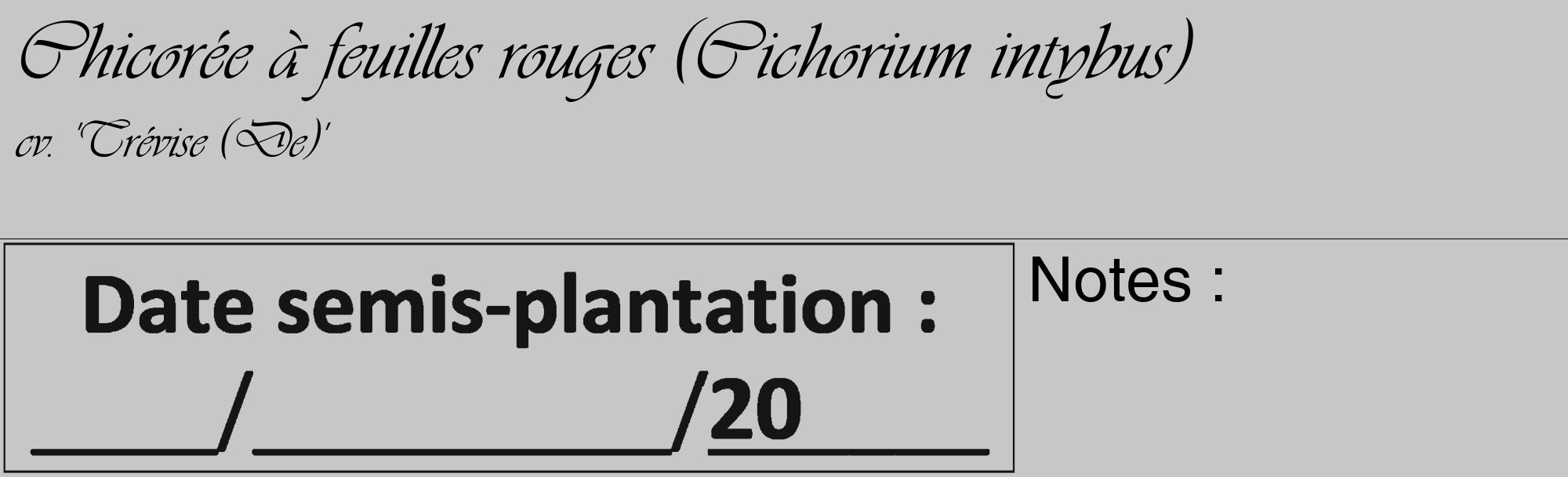 Étiquette de : Cichorium intybus cv. 'Trévise (De)' - format c - style noire15_basique_basiqueviv avec comestibilité