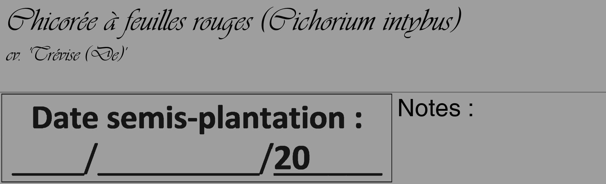 Étiquette de : Cichorium intybus cv. 'Trévise (De)' - format c - style noire42_basique_basiqueviv avec comestibilité