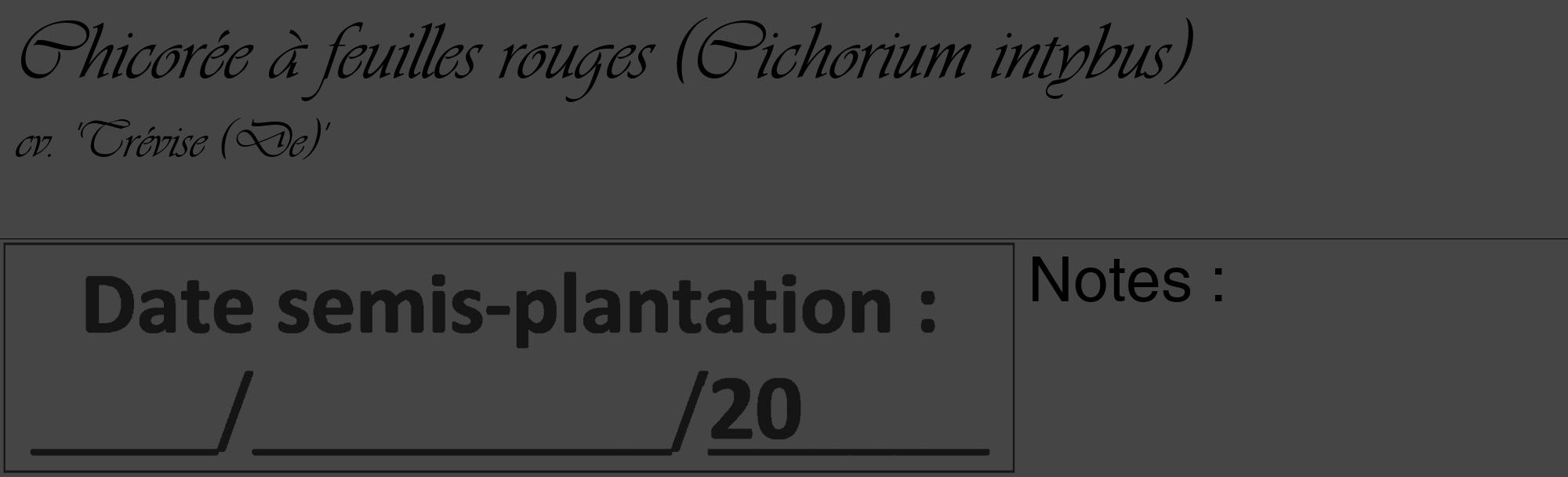 Étiquette de : Cichorium intybus cv. 'Trévise (De)' - format c - style noire58_basique_basiqueviv avec comestibilité