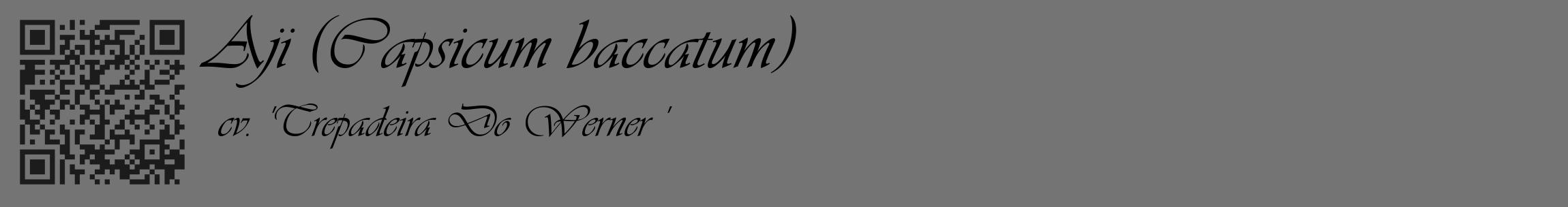 Étiquette de : Capsicum baccatum cv. 'Trepadeira Do Werner ' - format c - style noire26_basique_basiqueviv avec qrcode et comestibilité