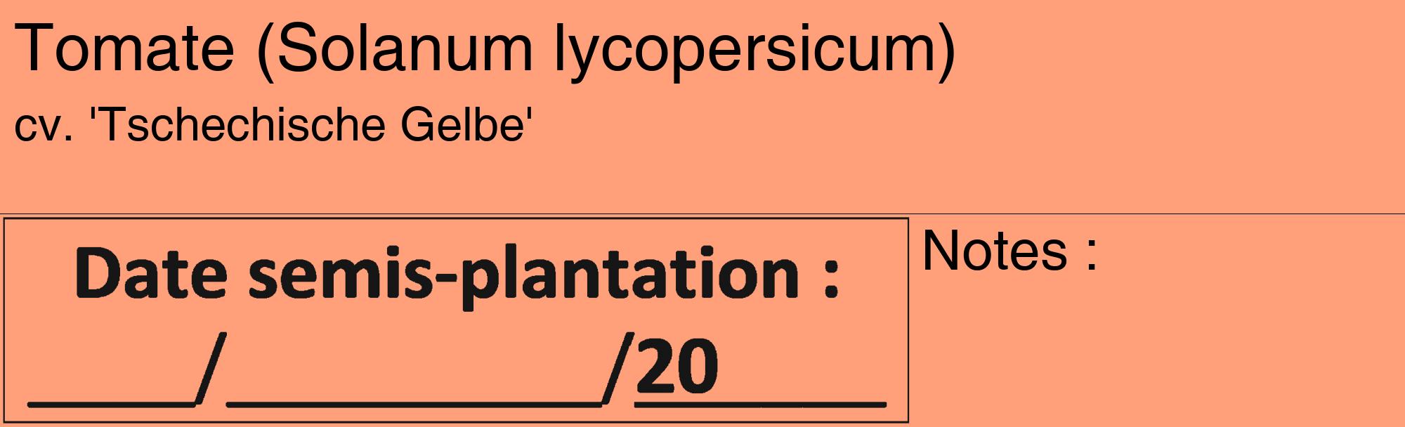 Étiquette de : Solanum lycopersicum cv. 'Tschechische Gelbe' - format c - style noire39_basique_basiquehel avec comestibilité